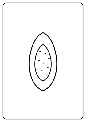 Papaja
